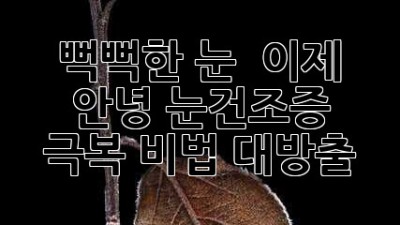 뻑뻑한 눈 👀 이제 안녕! 눈건조증 극복 비법 대방출 💧