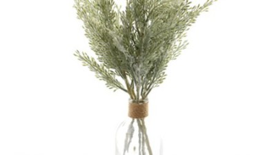 향긋한 사이프러스조화🌿 득템 후기! 놓치면 후회?!